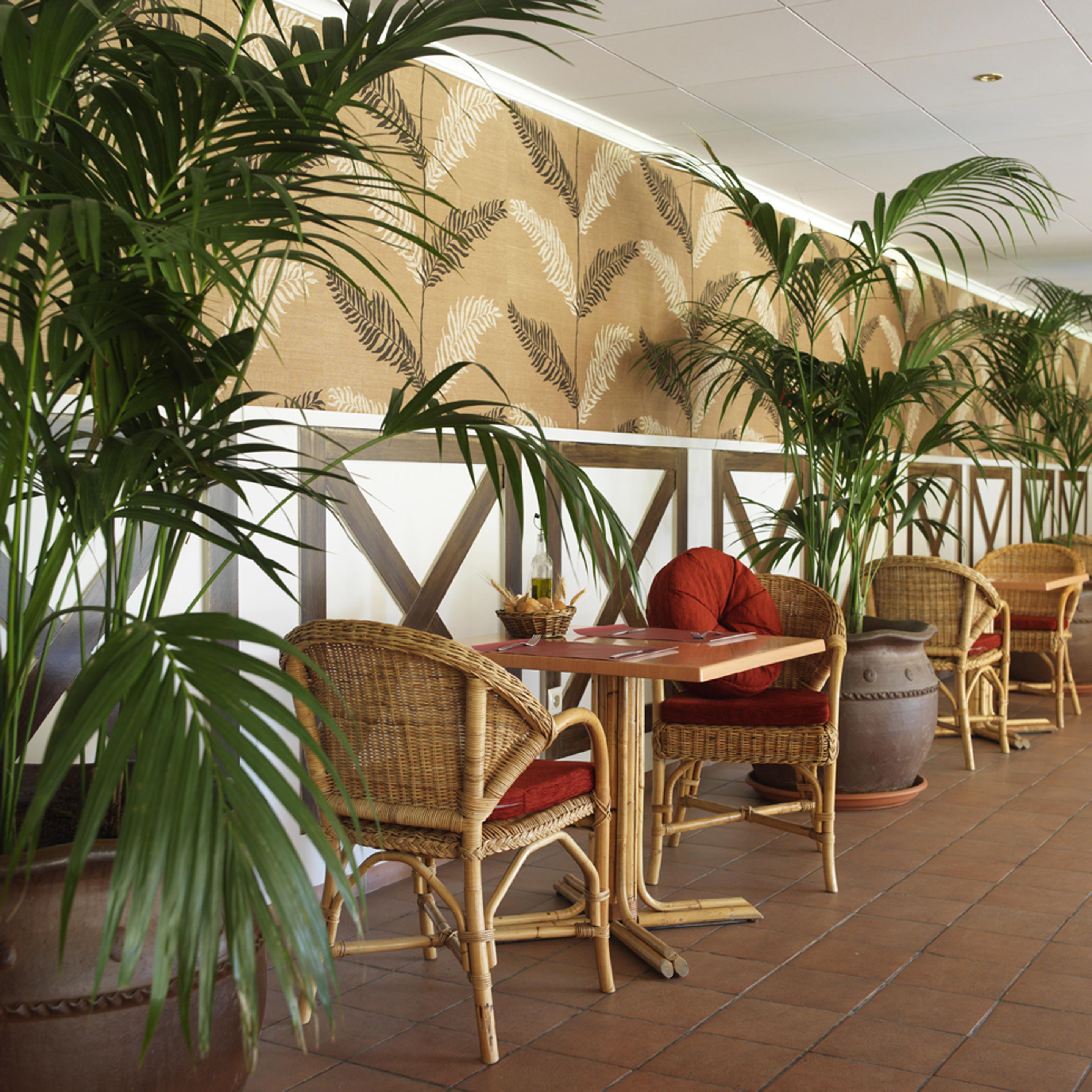 Luna Park Hotel Yoga & Spa Malgrat de Mar Exterior photo